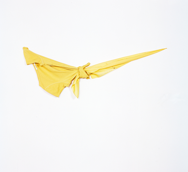 OBJECT / A | Artists | Jo McGonigal: Yellow Yellow (2015)