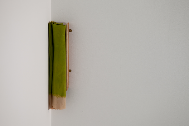 OBJECT / A | Artists | Jo McGonigal: Close Looking (2015)